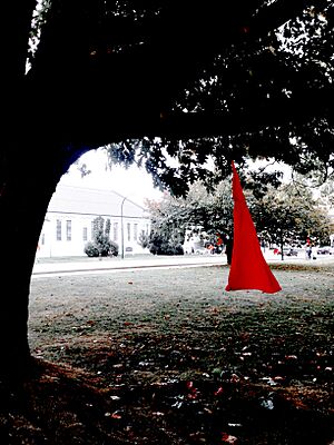 2016 366 277 -REDress Project (29473248523)