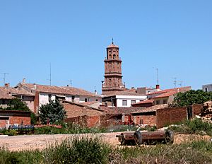 ALDEANUEVA DE EBRO-Vista general.jpg