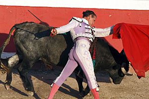 A bullfighter in the arena, San Miguel de Allende, Mexico