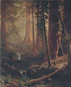 Albert Bierstadt - Giant Redwood Trees of California - Google Art Project