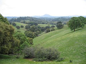 The Amador County foothills in April 2007