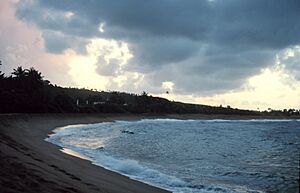 An arcuate beach in Isabela, Puerto Rico