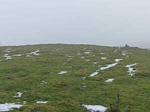 Anthony Hill bowl barrow
