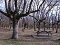 Armentia - 11