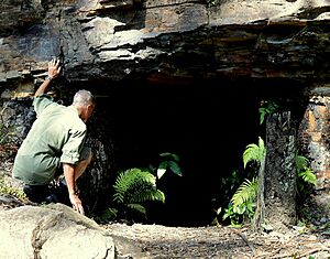 Asgard Swamp shale mine, 5 January 2015
