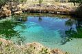 Ash Meadows Crystal Spring 1