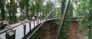 Atlanta Botanical Garden canopy walk