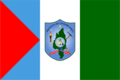 Bandera de Nieva