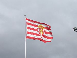 Bandera sporting
