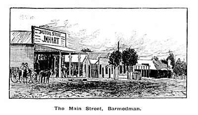 Barmedman The Main Street (published in Australian Town & Country Journal 7 April 1894 p. 32)