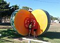 Big Pumpkin1