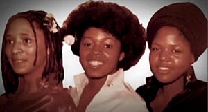 Brown Sugar 3
