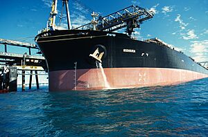 CSIRO ScienceImage 1010 Discharging ballast water