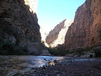 Cañón del Río Huaco, Jáchal, prov. de San Juan, Argentina.JPG