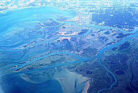 Canada Michigan St Clair River estuary Harsens Island IMG 1822.JPG