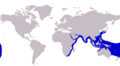 Carangoides chrysophrys distribution