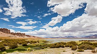 Catedrales de Tara, Chile, 2016-02-07, DD 62