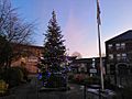 Christmas tree in lees square with a purple sky