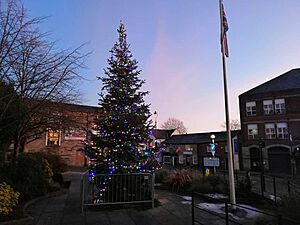 Christmas tree in lees square with a purple sky