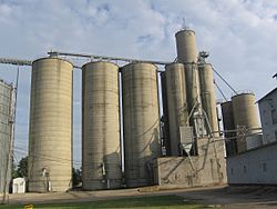 Grain elevators on the south side of Edon