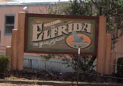 Welcome to Elfrida