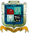 Coat of arms of Yahualica