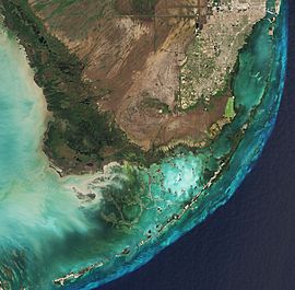 Everglades by Sentinel-2 (Original 10m Res)
