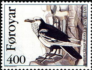 Faroe stamp 276 the north atlantic raven (corvus corax varius)
