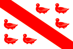 Flag of Tinlot.png