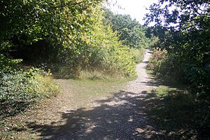 Footpath junction near West Hoath Wood - geograph.org.uk - 1505593