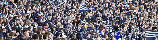 Geelong Cats supporters