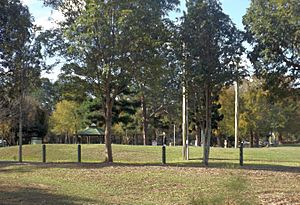 Grassed area at Petrie Road Rest Area at Petrie, Queensland