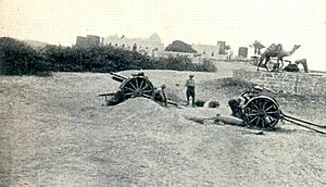 HAC guns at Sheik Othman