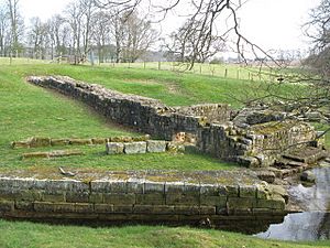 Hadrian's Wall and Chesters bridge abutment (2) - geograph.org.uk - 809577
