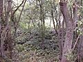 Hascot Hill Pit 2