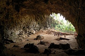 Homo floresiensis cave