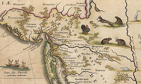 Hudson Valley Map Detail Nova Belgica Et Anglia Nova c1634