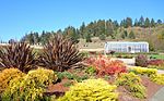 Humboldt Botanical Garden - Eureka, California - DSC02551.JPG