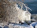Ice bodensee