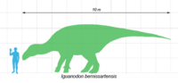 Iguanodon scale