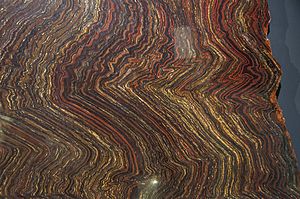 Jasperlite (iron formation) Melbourne Museum