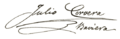 Julio Cervera signature