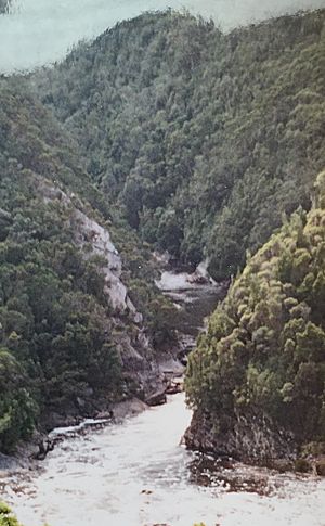 King River gorge from abt railway 02