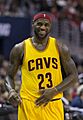 LeBron James (15847318851)
