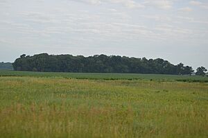 McCune Village near Sterling