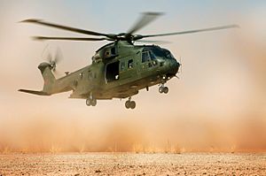 Merlin Helicopter Lands in Californian Desert During Ex Merlin Vortex MOD 45150793