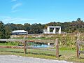 Moss Bluff Ocklawaha River dam01