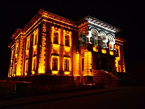 Muzeul de Artă „Ion Irimescu” din Fălticeni (2)