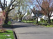 NE 46th Avenue -2.JPG