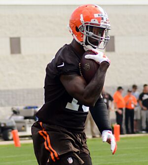 Nate Burleson 2014 Browns training camp